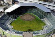 野外球場(甲子園広島神宮横浜仙台千葉)のメリットが1つもない