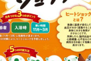 お前らヒートショックで交通事故以上の人が死んでるのを知ってるか？　湯温は41℃以下など対策を