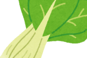 【急募】青梗菜の使い道