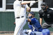 阪神・サンズ　今季初実戦で順調な調整ぶりをアピール　矢野監督「できるなって思う」