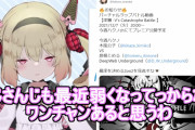 【悲報】Vshojoさん、ホロライブやにじさんじは奴隷事務所で自分らは自由な真のVtuberだと主張するｗｗｗｗｗｗ