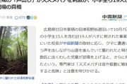 【社会見学】ガイドから「クマに遭遇しないよう声を出して行こう」小学生さん「クマさんでるなー！あっちいけー」→スズメバチの巣刺激して19人刺された模様