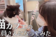 【=LOVE】髙松瞳・齋藤樹愛羅・野口衣織、猫カフェの店員さんになる