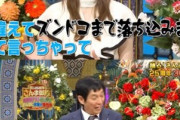【乃46】弓木奈於出演の明石家さんま御殿、怖くて見れない