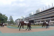 蛯名正義調教師「パドック見ても分からないって人へ」