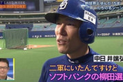 2015年井端「ホークスの柳田とかいう奴すごい」←これ