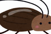 ゴキブリを見逃してしまったのだが