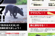 【悲報】作業小屋にクマ3頭が立て籠もり、県と町が協議して駆除→「なぜ殺したのか」県外から苦情殺到