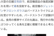 【動画】　ハト「おっ飛行機動いてるな…まぁ大丈夫やろ・・・ｗｗｗｗｗ」