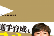 【朗報】小笠原道大さんの新書、面白そう