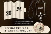 ロッテ、ファンクラブ特典のサインボールの件で物議を醸す