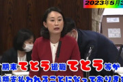 立憲議員、「手当」をまさかの誤読　「てとう、てとう...」連発にネット困惑「小学校で習う漢字だよね？」
