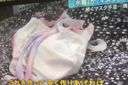 【朗報】水着の洗えるマスク完成ｗｗｗｗｗｗｗ （※画像あり）