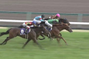アメリカダートが合っていそうな現役日本馬