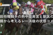 川田将雅騎手の熱中症発言と獣医の指摘から考えるレース後の状態コメント