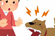 私は何でか知らないけど、昔から犬が苦手。散歩中の犬に遭遇するのが嫌だからわざわざ時間をずらして買い物に行くんだが、それを彼は「たかが犬で」って笑うか呆れるか怒るかする。