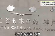 有名建築家「子供のためにオシャレな図書館作ったぞ！」 子供「なにこの建物…」