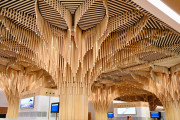 竹がモチーフ。インドで自然をテーマにした美しい空港ターミナルがオープン