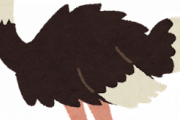 ダチョウさん、脳みそが小さすぎてとんでもないことになるｗｗｗｗｗ