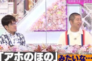 【櫻坂46】ほのすをバカにする澤部