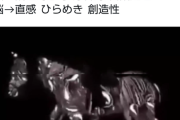 【動画】馬が前に歩いてるように見える凡人ｗｗｗｗｗｗｗ