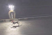 【悲報】金沢競馬さん、致命的なミス…