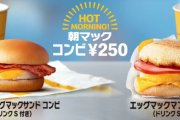 朝マックとかいう存在価値ゼロの食べ物ｗ