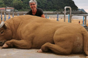 距離をとって見れば本物に見えるサンドアート動物、海外で話題に