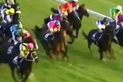 主要４場でバランスよく勝った馬といえば？