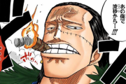 【ワンピース】最強って実質クロコダイルじゃね？？？？？？？？？？？？？？