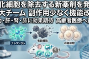 【速報】老化細胞を体から除去できる薬、京都大学などが発見「ネズミはついに不老不死の時代へ」　ロシアと中国が奪い来る可能性も！？