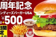 【悲報】（ヽ´ん`）「なんでこのハンバーガー包み紙が昭恵なんだよ」
