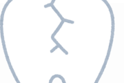 人体って欠陥構造多すぎちゃう？