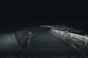 【怖い話】夜の山道をふらふら歩いている人間がいる→結果…