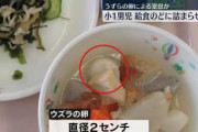 【福岡】小学生、給食のうずらの卵を喉につまらせて窒息死→うずらの卵禁止へ