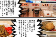 【超朗報】個室ビデオ店、カレー・牛丼が100円で食べ放題