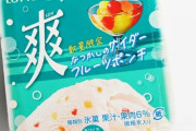 韓国人「日本人が開発した『夏限定のアイス』がめちゃくちゃ美味しそう‥（ﾌﾞﾙﾌﾞﾙ」→「韓国でも発売して下さい」　韓国の反応