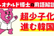 整形前の現実を見たくないんだろ　〜　韓流アイドルは美男美女ばっかりでみんなのあこがれなのに、日本よりもっと少子化が進んでいるっておかしくないですか？
