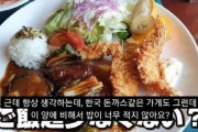 韓国人「日本人が考える韓国式豚カツの特徴がコチラ‥」　韓国の反応
