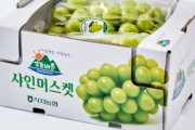 韓国人「韓国産シャインマスカットの価格が大暴落！」更に暴落し一房500円の叩き売り状態に…ﾌﾞﾙﾌﾞﾙ　韓国の反応