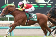 【競馬予想】第69回京王杯スプリングカップ(GⅡ) /2024