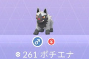【ポケモンGO】スポットライトアワー：ポチエナ反省会「わんわん可愛い」「不思議な箱開けてメルタン乱獲が正解」