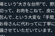 【画像】味の素「大変なお母さんに代わって丁寧に冷食を作ってます」→ツイッターママぶちギレｗｗｗｗｗｗ