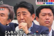 ファンだった有名人のツイッターが「安倍ガー」と「ネトウヨ」どっちがマシ？