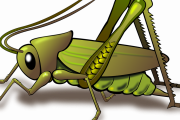 【衝撃】「蟻＝蓄えて偉い、キリギリス=だらしない」って傲慢だよなwwwww