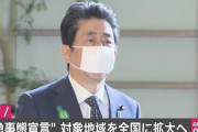 全国に緊急事態宣言出した理由が「娯楽を求めて大都市から田舎へ人が移動してくるから」って