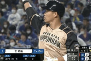 日ハム王柏融(オープン戦) .067 0本 0打点