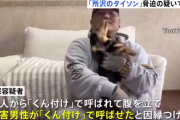 ケンカ3000戦無敗「所沢のタイソン」を脅迫容疑で逮捕 「くん付け」で呼ばれ腹を立てたか
