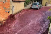 ポルトガルで赤ワインの大洪水。220万リットルが流出し村を赤く染める