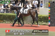 【日曜小倉5R九州産馬新馬戦】ネロだらけの大運動会